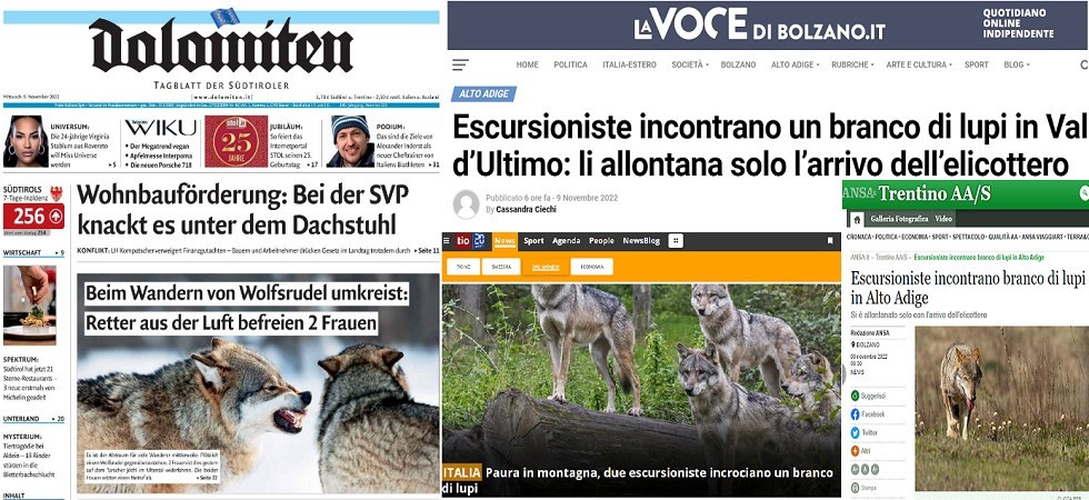 Terrore in Alto Adige per un branco di lupi che accerchia due ragazze?